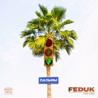 FEDUK - Пальмы